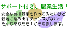 サポート付きの貸し農園で安全な有機野菜を作ろう