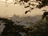 護国神社_龍馬の墓